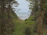 Olympic Peninsula 032